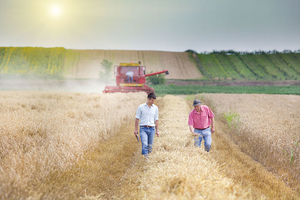 Interjú Czerván György agrárgazdaságért felelős államtitkárral
