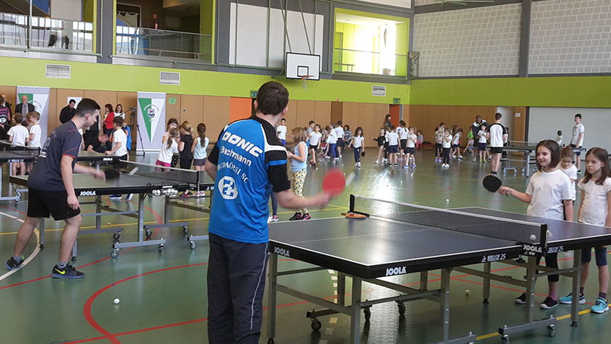 Sikeres felnőtt és iskolai pingpong-program Budaörsön