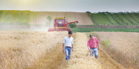 Interjú Czerván György agrárgazdaságért felelős államtitkárral
