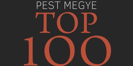 Pest megye TOP 100 - A megye legnagyobb vállalkozásai