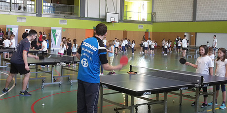 Sikeres felnőtt és iskolai pingpong-program Budaörsön
